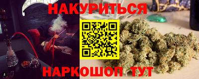сатива Коммунар