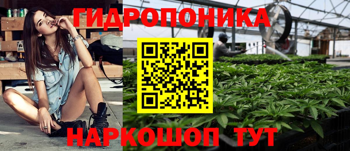 Конопля THC 21%  Вход с VPN  Выборг  Конопля MAZAR 